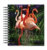 ECOeverywhere Watchful Flock Picture Photo Album, 18 Pages, Holds 72 Photos, 7.75 x 8.75 Inches, Multicolored (PA11642)