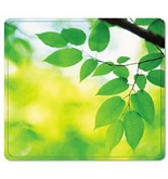 Fellowes Recycled Mouse Pad PAD, MOUSE, RECYCLE, LEAVES MX70NTCA (Pack of15)