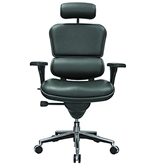 Eurotech Ergohuman LE9ERG, Ergonomic Executive Leather Chair, Black