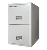 Sentry 2T2510 2 Drawer Letter - Fire and Impact Resistant