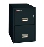 Sentry 2T3140 2 Drawer Letter - Fire and Water Resistant