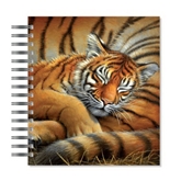 ECOeverywhere Cozy Cub Picture Photo Album, 18 Pages, Holds 72 Photos, 7.75 x 8.75 Inches, Multicolored (PA12328)