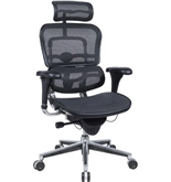 Ergohuman Executive Chair With Headrest - Black