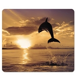 Fellowes 5913401 Recycled Mouse Pad, Nonskid Base, 7-1/2 x 9, Dolphin