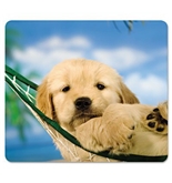 Fellowes 5913901, Recycled Optical Mouse Pad, Non-Skid, Dogs/Multi