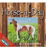 Horse-a-Day 2012 Boxed Calendar