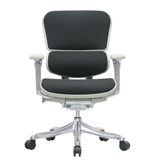 Ergohuman V210FBLK Chair with Black Fabric and Grey Frame