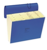 Wilson Jones ColorLife Expanding File, Without Flap, Monthly Index, 12 x 10 Inches, Dark Blue (WCCC17M-BL)
