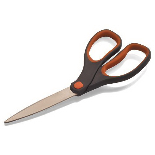 Westcott School Stainless Steel Kids Training Scissors, 5-Inch, Blunt Red  (13301)