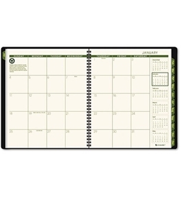 At-A-Glance Green Professional Monthly Planner, Black - 2015-16