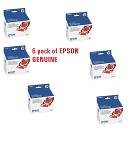 Epson Genuine Inkjet Cartridge - T008201 6 pack