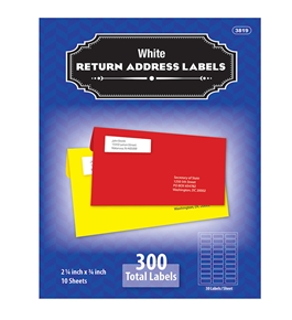 BAZIC 3/4 X 2 1/4 White Return Address Labels (300/Pack)