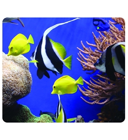 Fellowes Tropical Fish Optical Mousepad 59093 - 43859578436