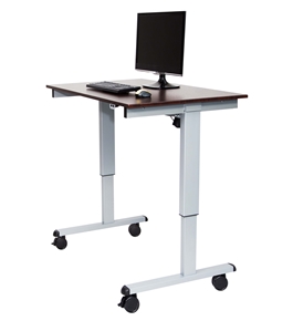 Luxor 48" Electric Standing Desk  Model Number- STANDE-48-AG/DW