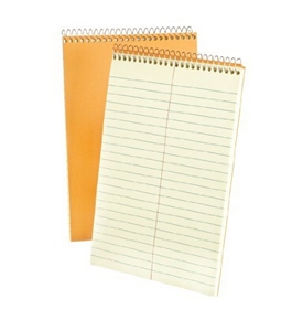 Ampad 25-474 Steno Notebook 6x9, Greentint, Tan Cover, Gregg Ruled, Includes 1001 Misspelled Words 80