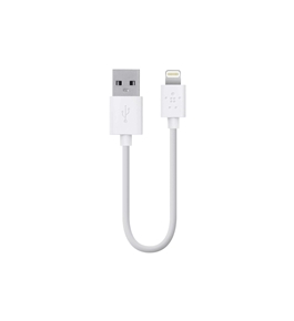 Belkin Lightning to USB ChargeSync Cable for iPhone 5 / 5S / 5c, iPad 4th Gen, iPad mini, and iPod touch 7th Gen, 6 Inches (White)