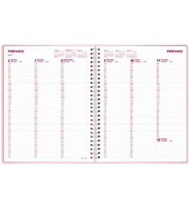 Brownline 2012 Weekly Planner, Twin-Wire, Pink, 11 x 8.5-Inches (CB950.PNK)