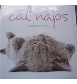 Cat Naps: 2012 Wall Calendar