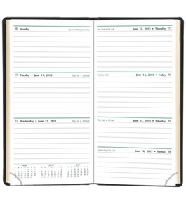 Day-Timer Slim Weekly Planner, Black, 3.375 x 6.25 Inches, January 2013 Start (D13551-1301)