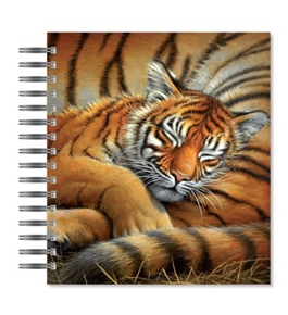ECOeverywhere Cozy Cub Picture Photo Album, 18 Pages, Holds 72 Photos, 7.75 x 8.75 Inches, Multicolored (PA12328)