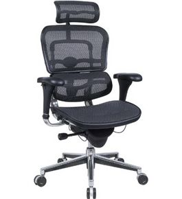 Ergohuman Executive Chair With Headrest - Black