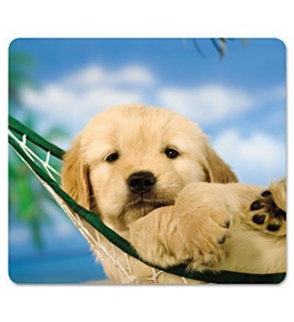 Fellowes 5913901, Recycled Optical Mouse Pad, Non-Skid, Dogs/Multi
