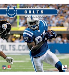 Perfect Timing - Turner 12 X 12 Inches 2013 Indianapolis Colts Wall Calendar (8011281)