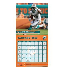 Perfect Timing - Turner 12 X 12 Inches 2013 Miami Dolphins Wall Calendar (8011284)