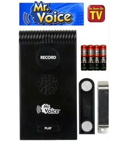 Personal Voice Recorder