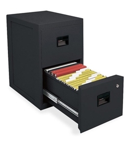SentrySafe 6000 2-Drawer Office Fire File