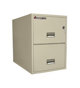 Sentry Safe Two-Drawer Fire and Water-Resistant Vertical Letter File, 17" W x 31" D, White Glove Delivery 2T3131PWG