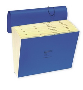 Wilson Jones ColorLife Expanding File, Without Flap, Monthly Index, 12 x 10 Inches, Dark Blue (WCCC17M-BL)