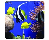 Fellowes Tropical Fish Optical Mousepad 59093 - 43859578436