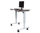 Luxor 48- Electric Standing Desk  Model Number- STANDE-48-AG/DW