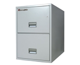 Sentry 2G3110 2 Drawer Legal - Fire and Impact Resistant
