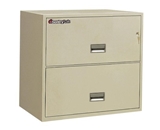 Sentry 2L3010 2 Drawer - Fire and Impact Resistant