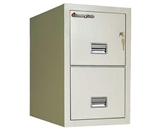 Sentry 2T3120 2 Drawer Letter - Fire and Impact Resistant - 2 hour rated