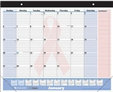 AT-A-GLANCE QuickNotes Special Edition Recycled Desk Pad, 22 x 17 Inches, Pink, 2011 (SKPN70-00)