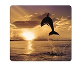Fellowes 5913401 Recycled Mouse Pad, Nonskid Base, 7-1/2 x 9, Dolphin