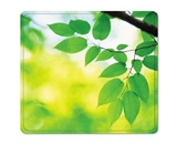 Fellowes Recycled Mouse Pad PAD, MOUSE, RECYCLE, LEAVES MX70NTCA (Pack of15)