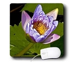 Jerry Funk Photo Artisan Flowers - Decorative colorful garden botanic classic plant water lily purple green flower - Mouse Pads