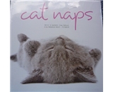 Leap Year Cat Naps: 2012 Wall Calendar