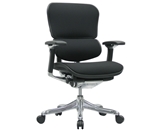 Ergohuman V200FBLK Chair with Black Fabric and Black Frame