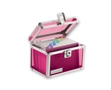 Vaultz Acrylic Index Card Box, 4x6, Acrylic Pink - Pink Acrylic - Vaultz - VZ00208